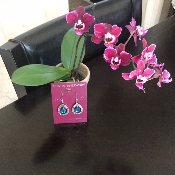 NWT Stainless Steel Dangling Earrings - Turquoise - Picture 3 of 5